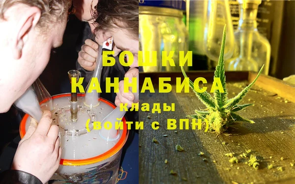 ГАЛЛЮЦИНОГЕННЫЕ ГРИБЫ Краснотурьинск