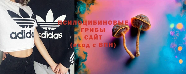ГАЛЛЮЦИНОГЕННЫЕ ГРИБЫ Краснотурьинск