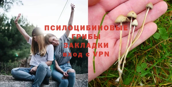 ГАЛЛЮЦИНОГЕННЫЕ ГРИБЫ Краснотурьинск