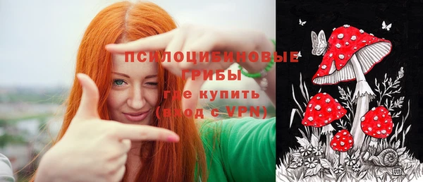ГАЛЛЮЦИНОГЕННЫЕ ГРИБЫ Краснотурьинск