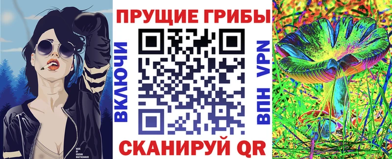 ссылка на мегу ONION  Мурманск  Псилоцибиновые грибы Psilocybine cubensis 