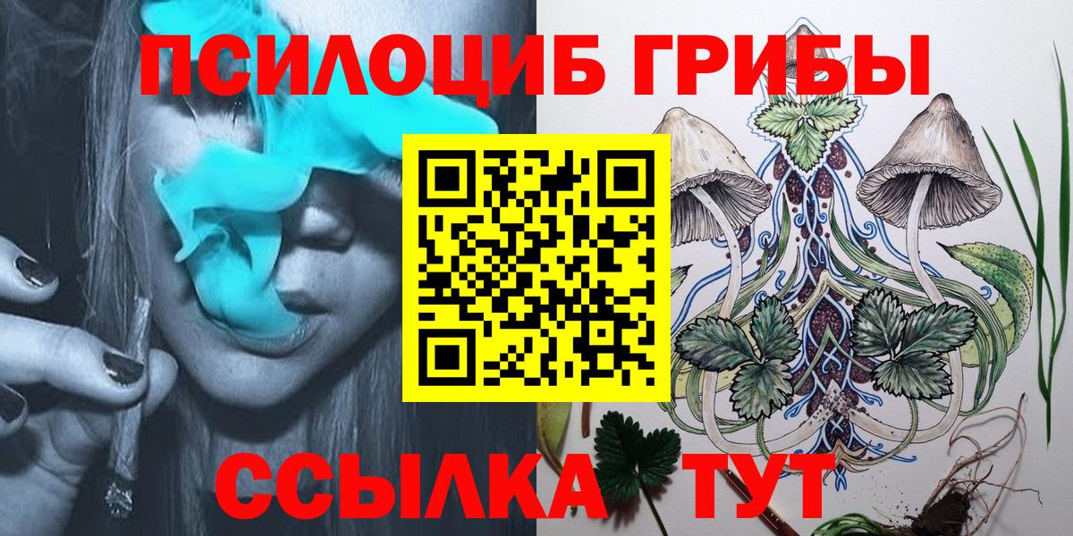 Псилоцибиновые грибы Psilocybine cubensis Мурманск