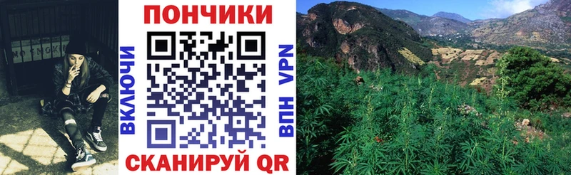 МАРИХУАНА планчик Мурманск